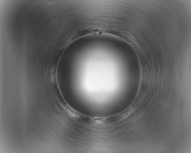 X0000073420285200608111359