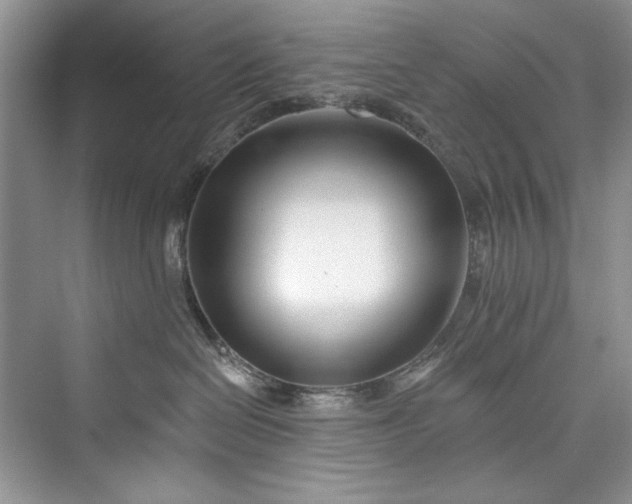 X0000073420286200608111359