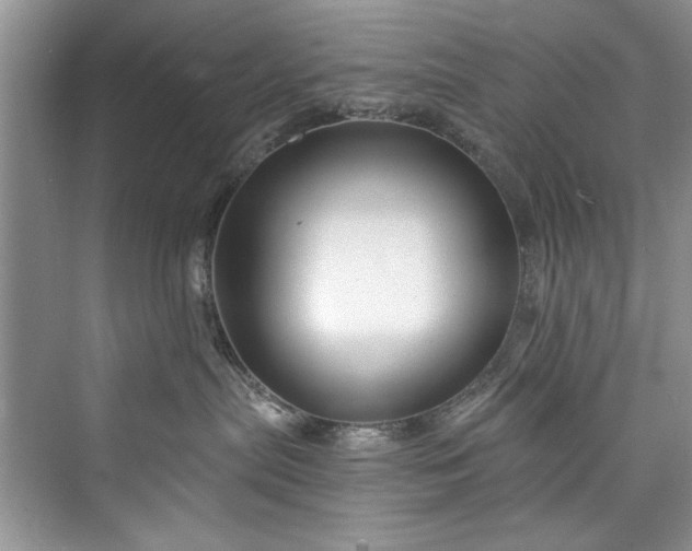 X0000073420287200608111359