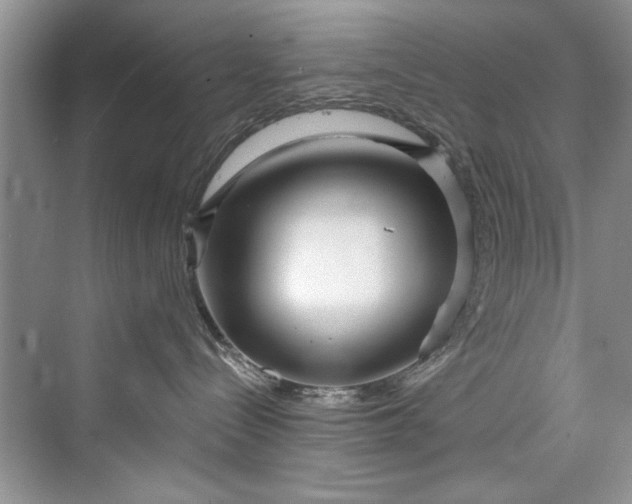 X0000073420288200608111359