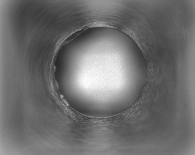 X0000073420289200608111358