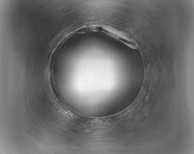 X0000073420290200608111358