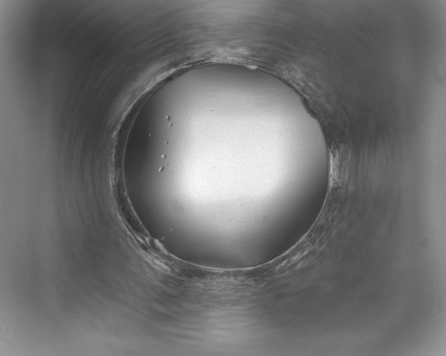 X0000073420291200608111358