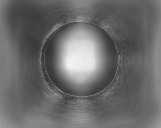 X0000073420292200608111358