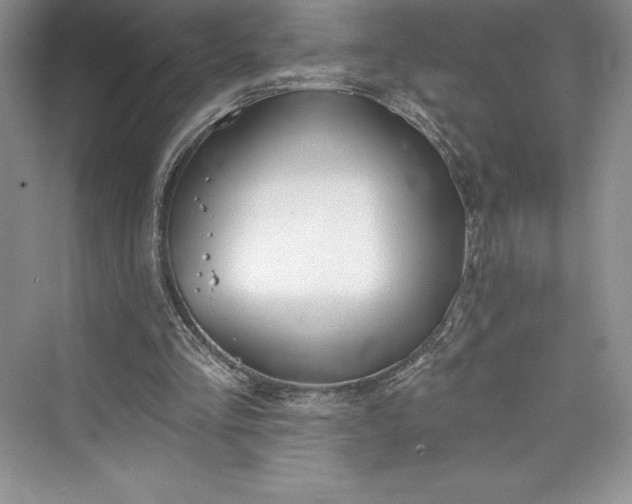 X0000073420293200608111358