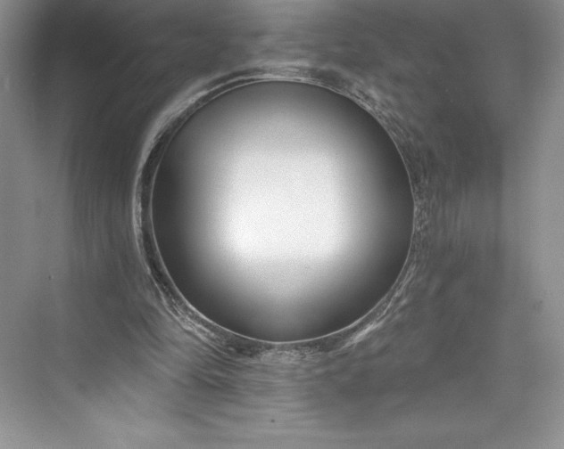 X0000073420294200608111358