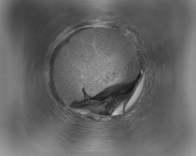 X0000073420295200608111358