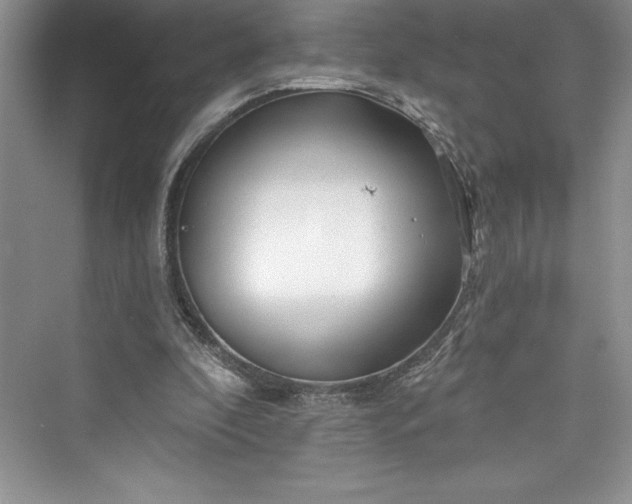 X0000073420296200608111358