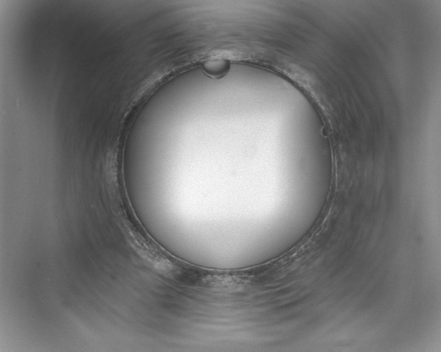 X0000073420297200608111358