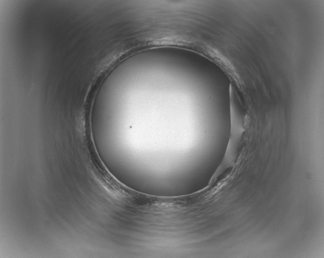 X0000073420298200608111358