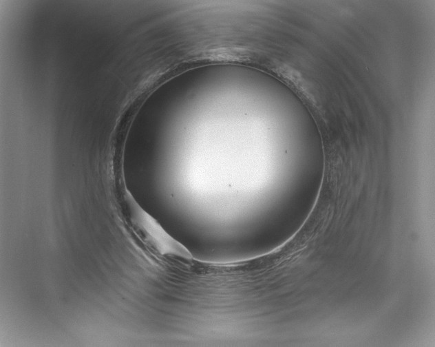 X0000073420299200608111358