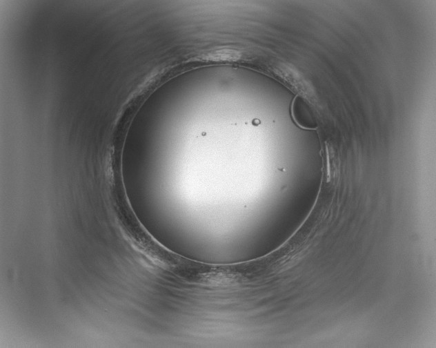 X0000073420300200608111358