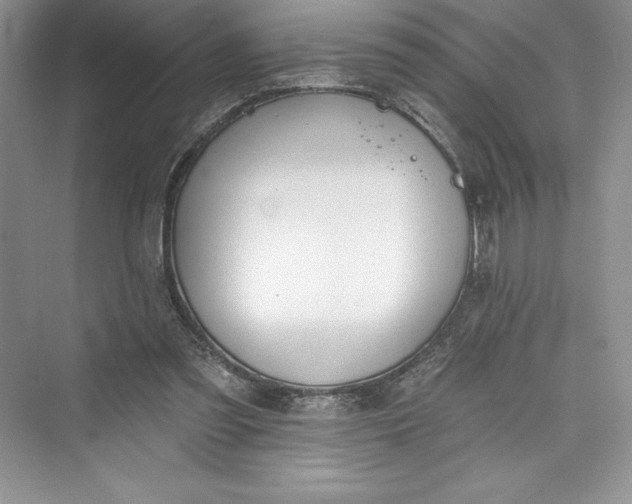 X0000073420301200608111358