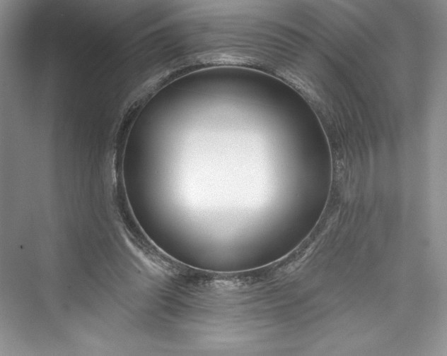 X0000073420302200608111358