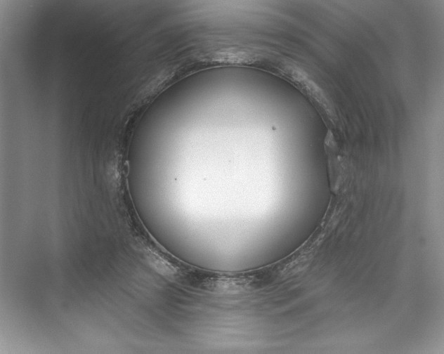 X0000073420305200608111358