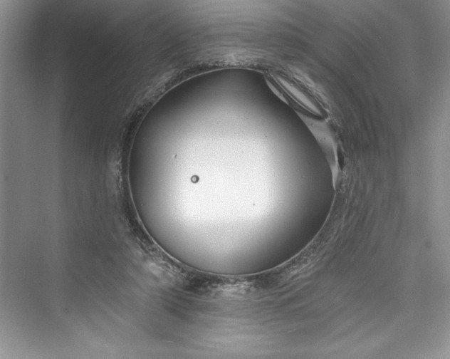 X0000073420306200608111358