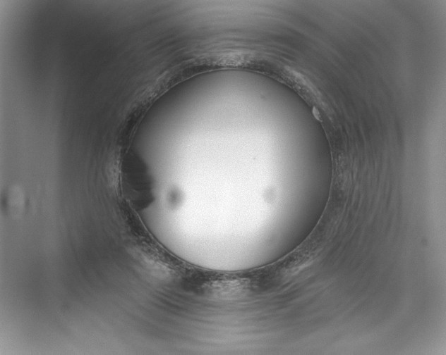 X0000073420307200608111358