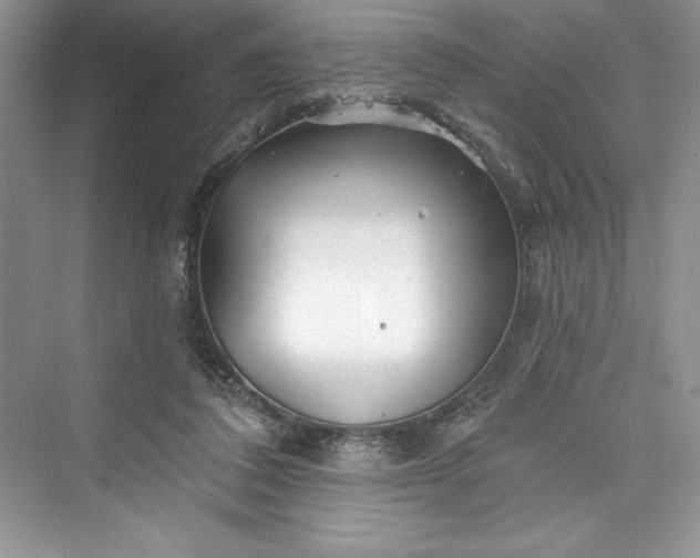 X0000073420308200608111358