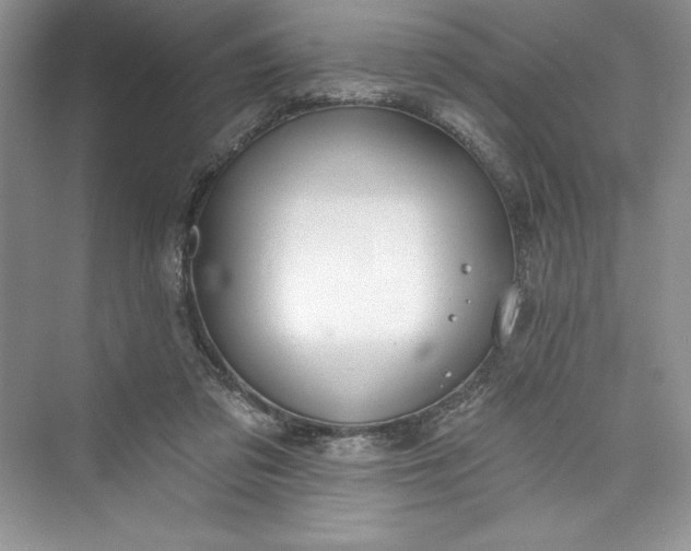 X0000073420309200608111358