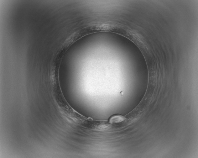 X0000073420312200608111358