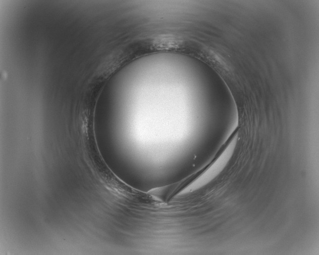 X0000073420315200608111358