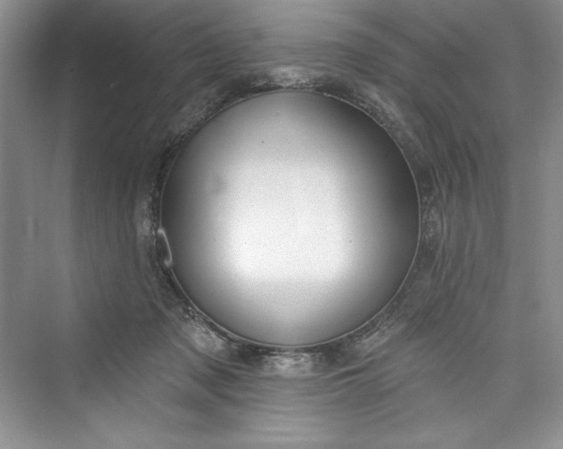 X0000073420317200608111358