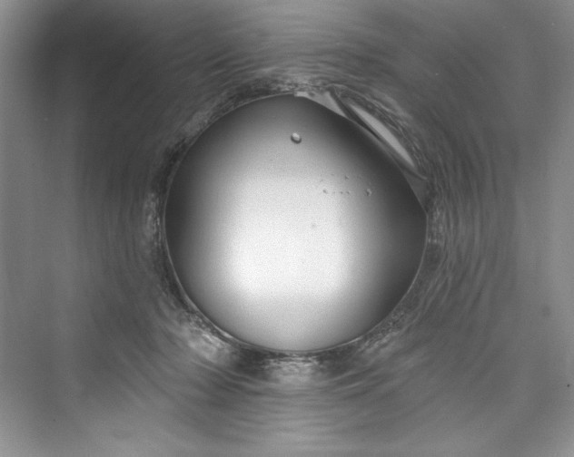 X0000073420318200608111358