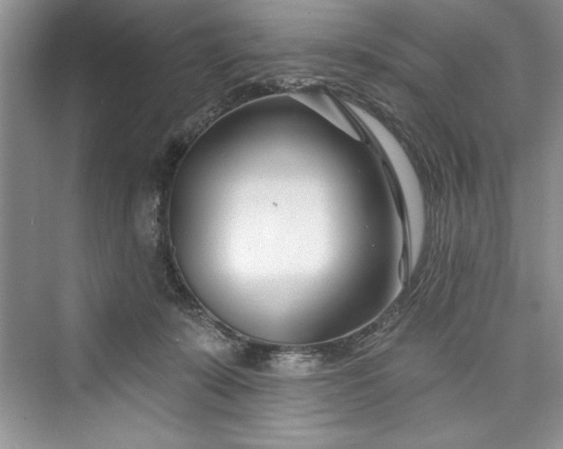 X0000073420319200608111358