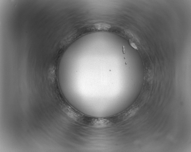 X0000073420321200608111357