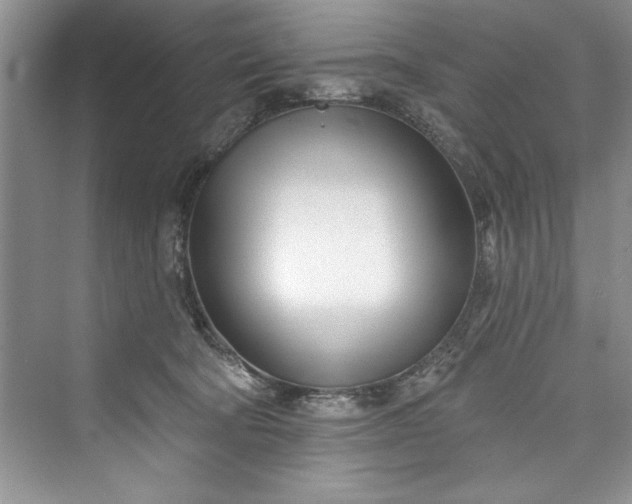 X0000073420322200608111357