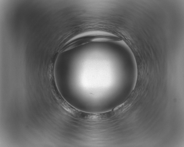 X0000073420325200608111357