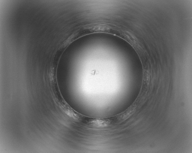 X0000073420326200608111357