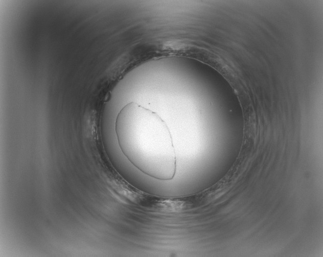 X0000073420328200608111357