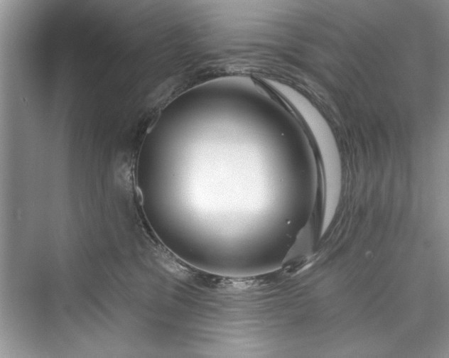 X0000073420329200608111357