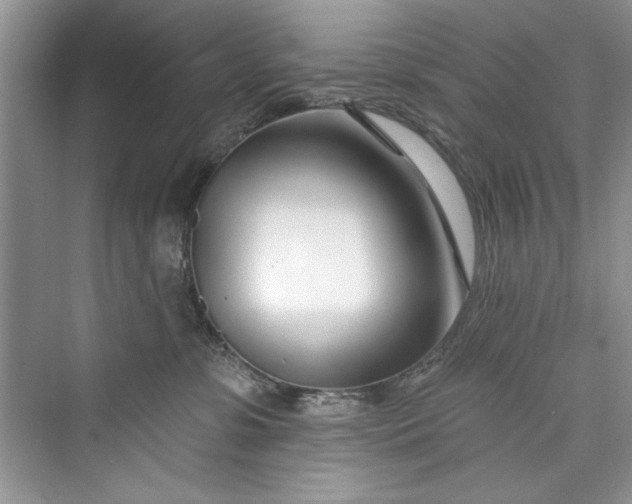 X0000073420331200608111357