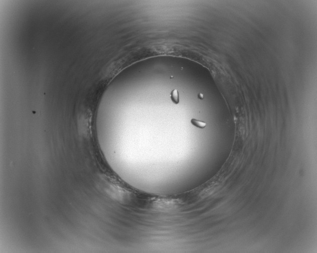 X0000073420332200608111357