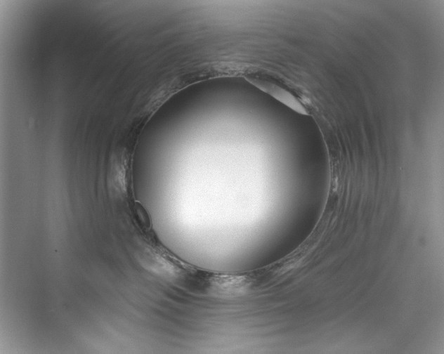 X0000073420334200608111357