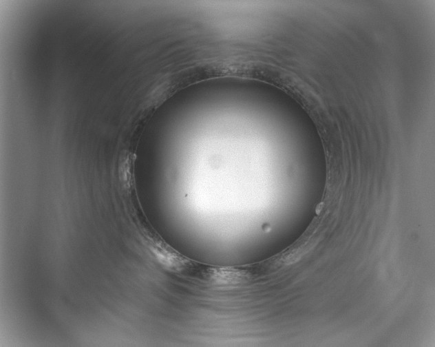 X0000073420336200608111357