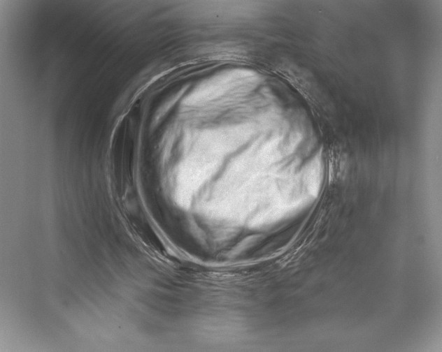 X0000073420339200608111356