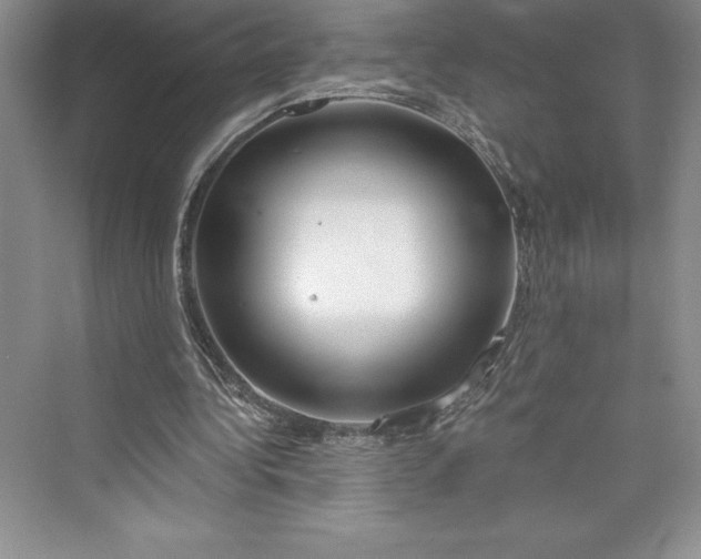 X0000073420340200608111356