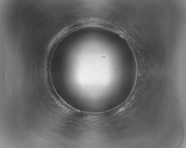 X0000073420341200608111356