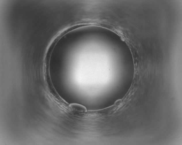 X0000073420342200608111357