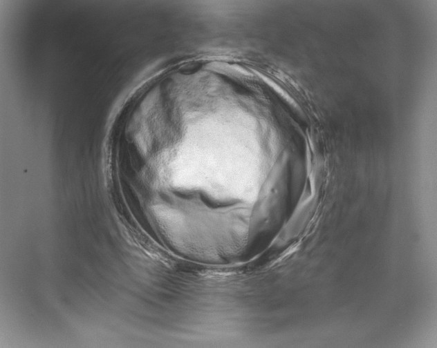 X0000073420343200608111357