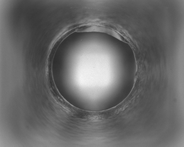 X0000073420344200608111357