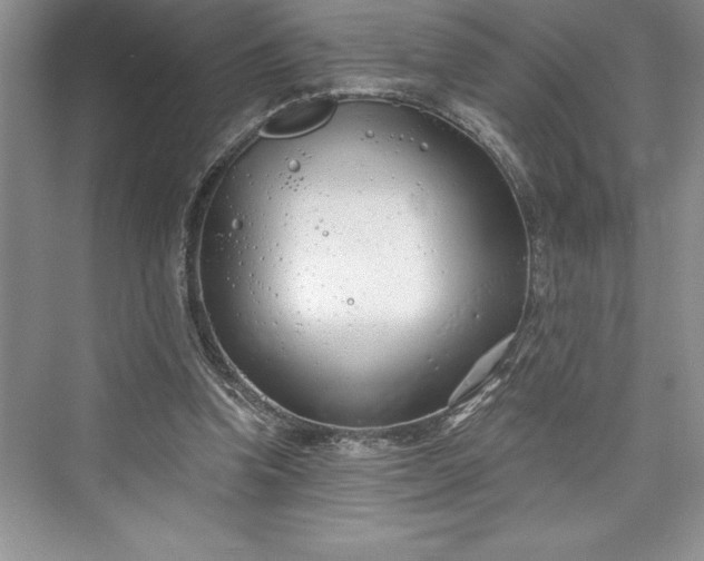 X0000073420346200608111357