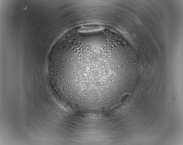 X0000073420347200608111357