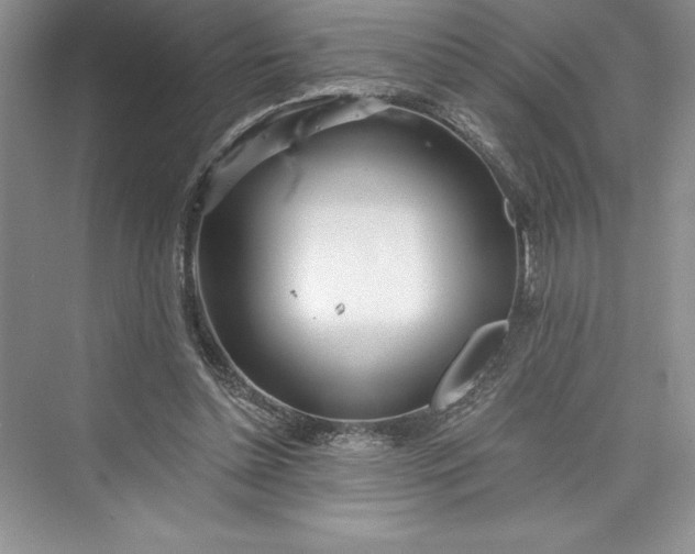 X0000073420348200608111357