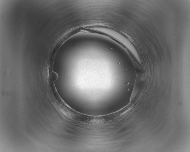 X0000073420350200608111357