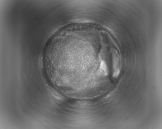 X0000073420351200608111357