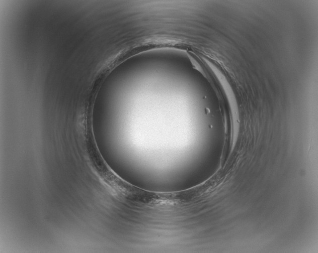 X0000073420352200608111357